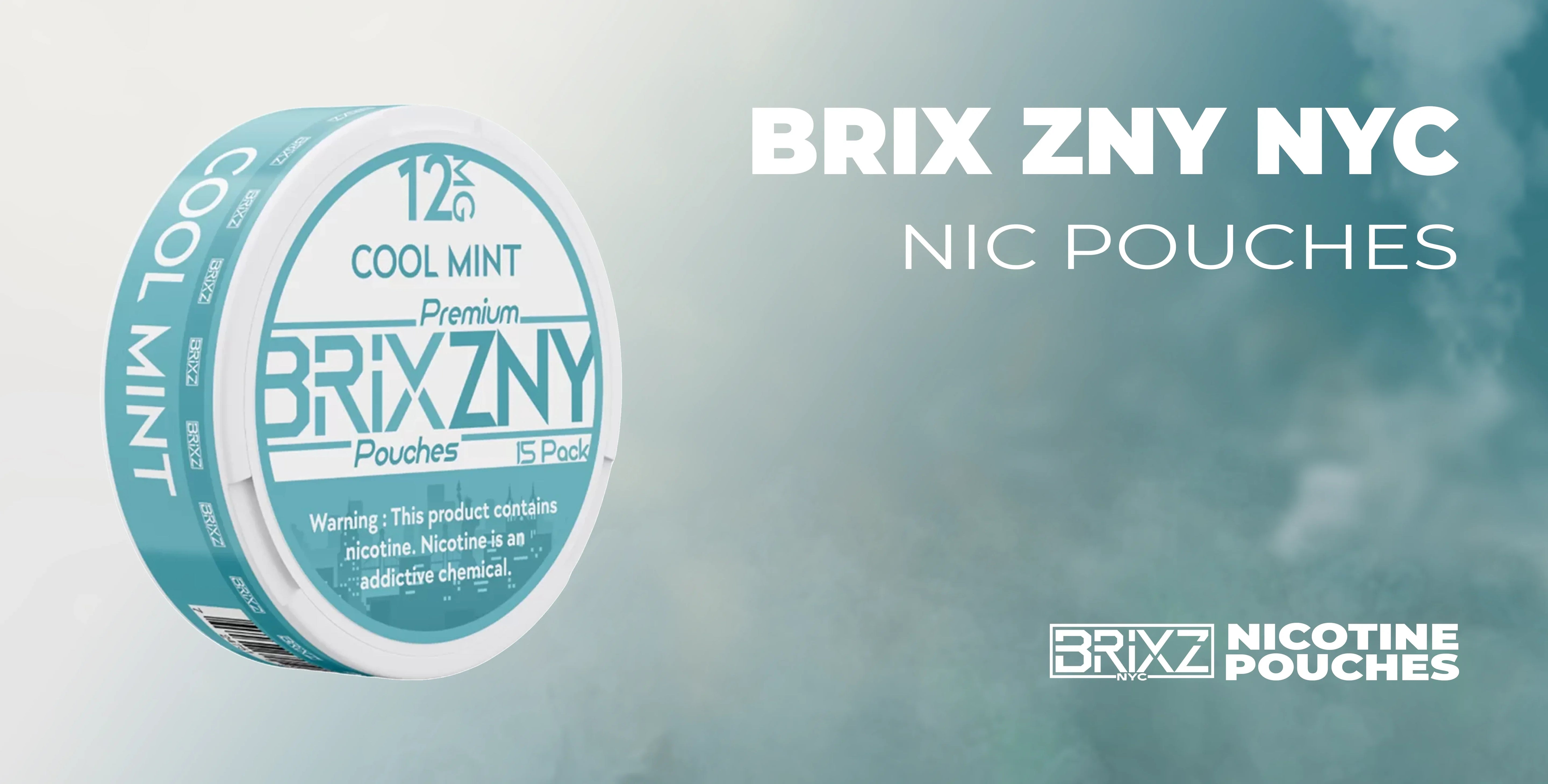 BRIXZNY Nicotine Pouches: Smooth, Flavorful Satisfaction Without the Smoke